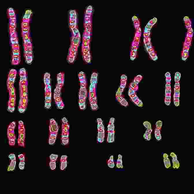 A Microscopic Image Of Chromosomes, The Structures That Carry Genes. What Is Life?: Five Great Ideas In Biology