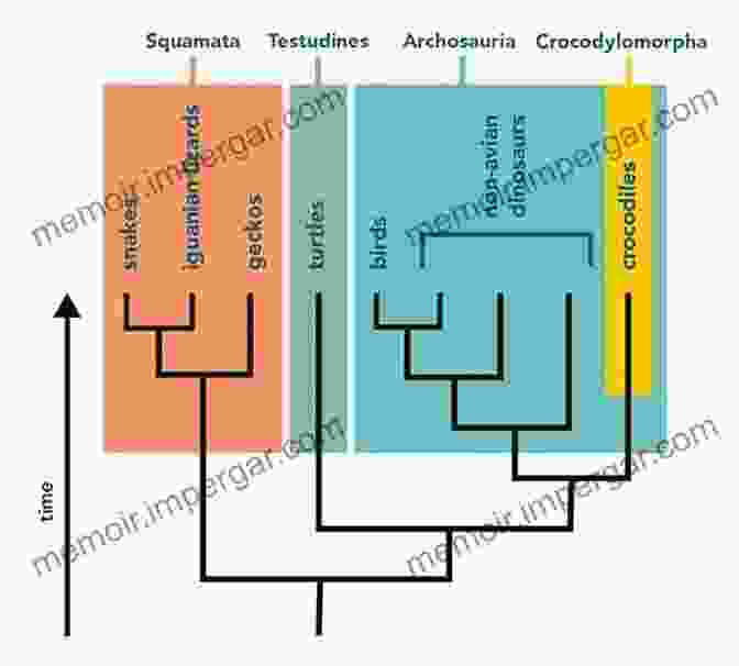 A Phylogenetic Tree Illustrating The Evolutionary Relationships Among Different Species. What Is Life?: Five Great Ideas In Biology