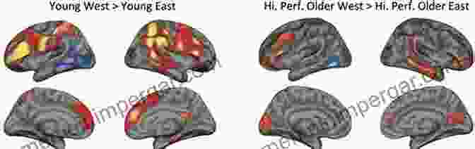 A Representation Of The Cultural Neuroscience Approach, Showing A Brain Surrounded By Cultural Symbols And Influences The Sociocultural Brain: A Cultural Neuroscience Approach To Human Nature