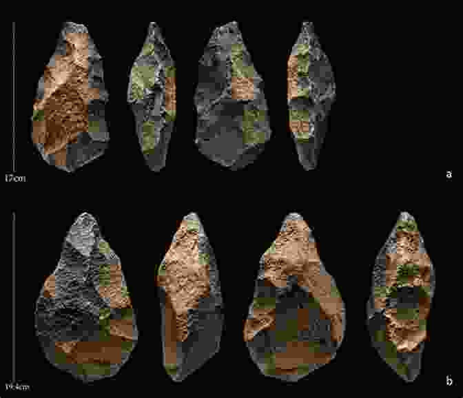 An Assortment Of Finely Crafted Stone Tools Discovered During The Excavation Settlement In The Irish Neolithic: New Discoveries At The Edge Of Europe (PREHISTORIC SOCIETY RESEARCH PAPERS 6)