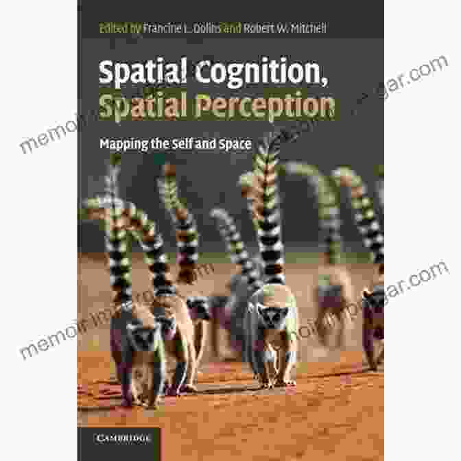 Cover Of The Book Space And Spatial Cognition: A Multidisciplinary Perspective Space And Spatial Cognition: A Multidisciplinary Perspective