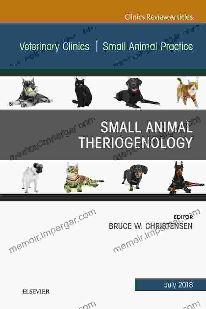 Equine Gastroenterology: An Issue Of Veterinary Clinics Of North America Equine Gastroenterology An Issue Of Veterinary Clinics Of North America: Equine Practice (The Clinics: Veterinary Medicine 34)