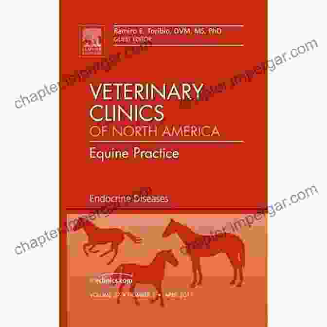 Equine Practice The Clinics Book Cover Advances In Equine Dentistry An Issue Of Veterinary Clinics: Equine Practice (The Clinics: Veterinary Medicine 29)