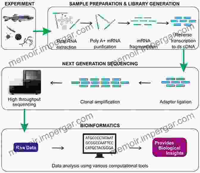 Genome Sequencing Workflow Basic Applied Bioinformatics