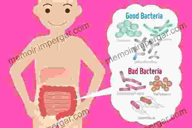 Gut Bacteria Are Tiny Organisms That Live In The Human Digestive System. They Play An Important Role In Human Health. Molecules Microbes And Meals: The Surprising Science Of Food