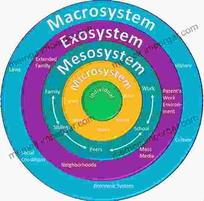 Image Demonstrating Cognitive Ecology In Humans Evolutionary Ecology And Human Behavior (Foundations Of Human Behavior)