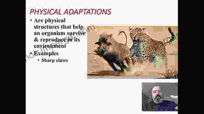 Image Illustrating Behavioral Adaptations In Humans Evolutionary Ecology And Human Behavior (Foundations Of Human Behavior)