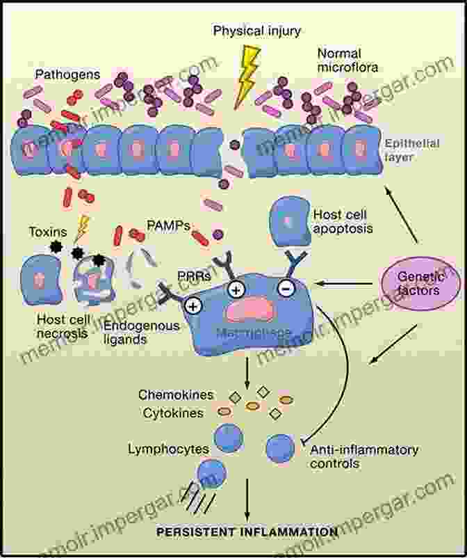 Inflammatory Cells And Mediators In Animal Tissue General Pathology For Veterinary Nurses