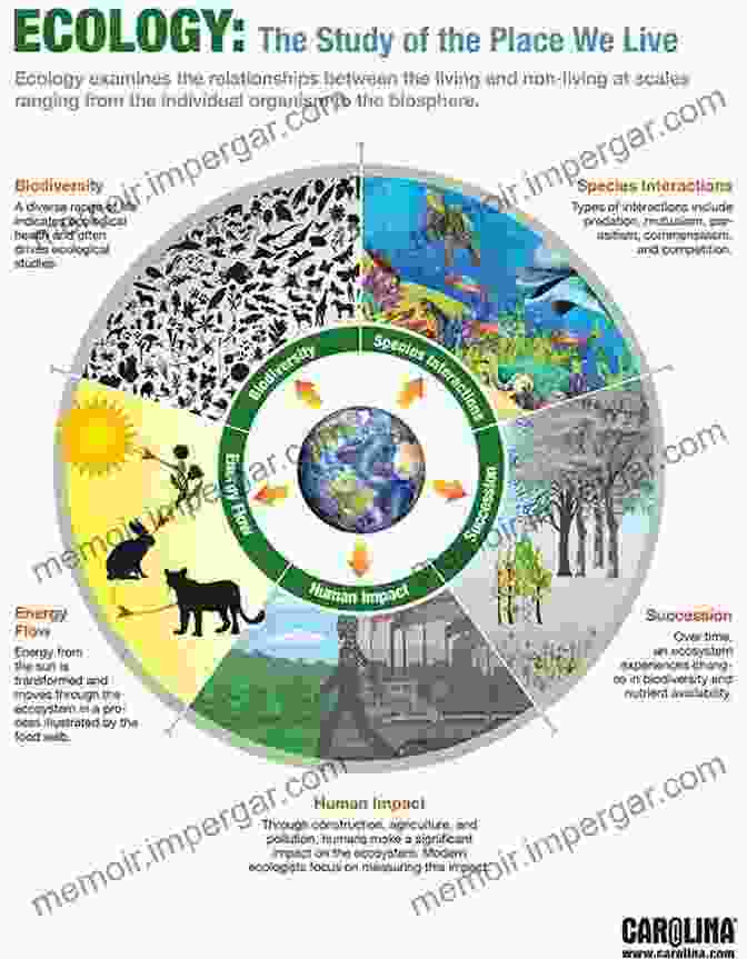 Infographic Depicting The Interconnectedness Of Ecosystems, Resources, Climate, Food, And Health. Agri Food And Forestry Sectors For Sustainable Development: Innovations To Address The Ecosystems Resources Climate Food Health Nexus (Sustainable Development Goals Series)