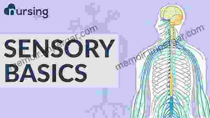 Nursing Care Related To The Sensory And Neurological Systems