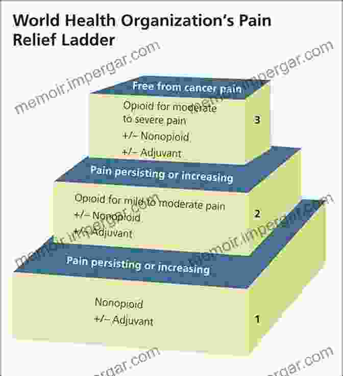 Pharmacological Management Of Musculoskeletal Pain Musculoskeletal Pain: Basic Mechanisms Implications