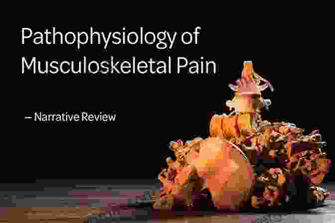 Physiology And Pathophysiology Of Musculoskeletal Pain Musculoskeletal Pain: Basic Mechanisms Implications