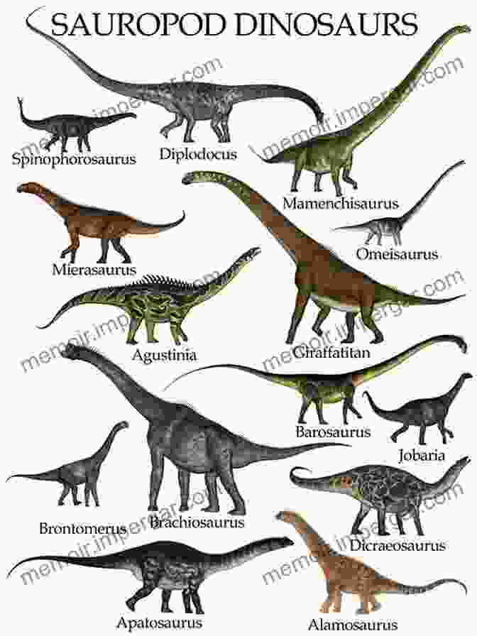 Skeleton Of A Sauropod Dinosaur Biology Of The Sauropod Dinosaurs: Understanding The Life Of Giants (Life Of The Past)