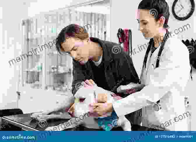 Veterinary Nurse Examining An Animal Patient General Pathology For Veterinary Nurses