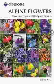 Alpine Flowers: How to recognise 230 alpine flowers