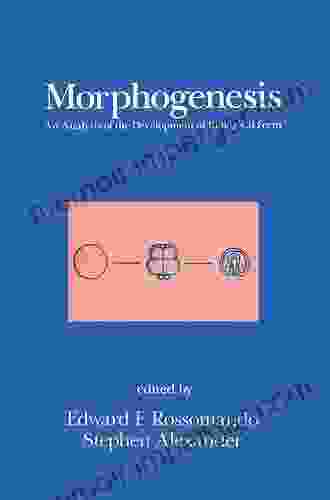 Morphogenesis: An Analysis Of The Development Of Biological Form: An Analysis Of The Development Of Biological Form