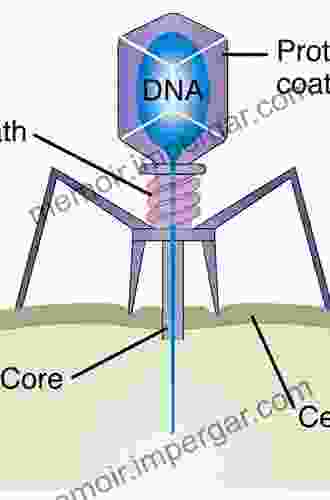 Bacteriophages: Biology And Applications