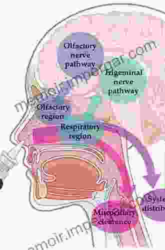 Blood Brain Barrier: Drug Delivery And Brain Pathology