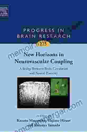 New Horizons In Neurovascular Coupling: A Bridge Between Brain Circulation And Neural Plasticity (ISSN 225)