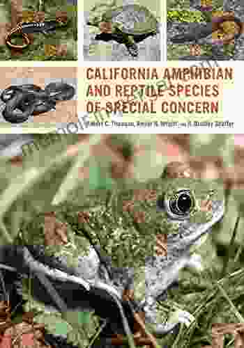 California Amphibian And Reptile Species Of Special Concern