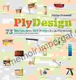 PlyDesign: 73 Distinctive DIY Projects In Plywood (and Other Sheet Goods)