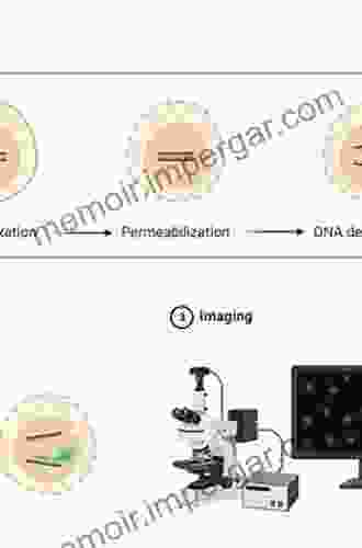 In Situ Hybridization In Electron Microscopy (Methods In Visualization)