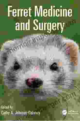 Ferret Medicine And Surgery