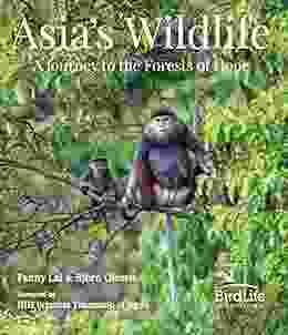 Asia S Wildlife: A Journey To The Forests Of Hope (Proceeds Support Birdlife International)