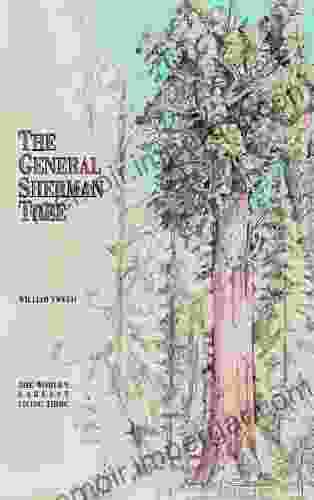 The General Sherman Tree Heather Paxson