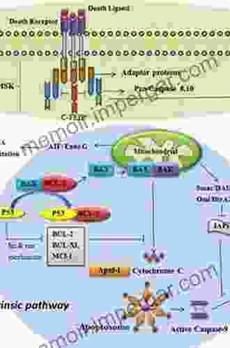 Chimeric Toxins: Mechanisms Of Action And Therapeutic Applications (Cellular And Molecular Mechanisms Of Toxic Action 4)