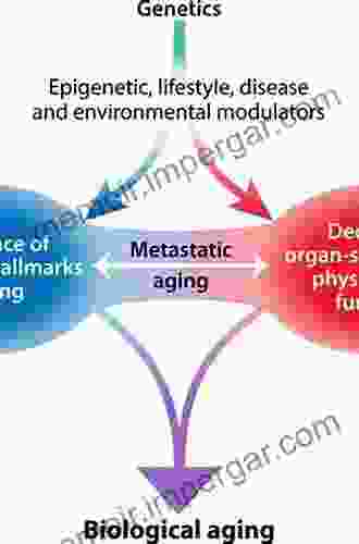 Molecular Aspects Of Aging: Understanding Lung Aging