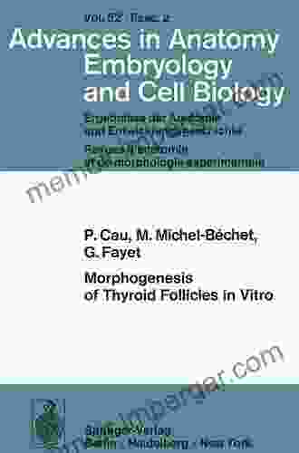 Morphogenesis Of Thyroid Follicles In Vitro (Advances In Anatomy Embryology And Cell Biology)