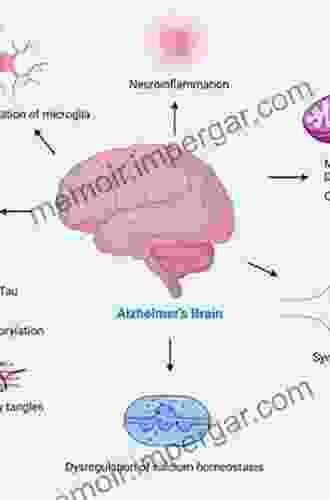 Neuroprotection In Alzheimer S Disease