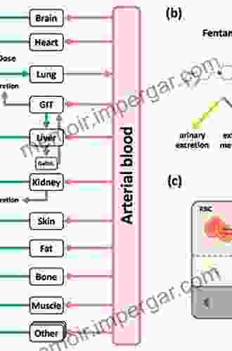 Physiologically Based Pharmacokinetic (PBPK) Modeling: Methods And Applications In Toxicology And Risk Assessment