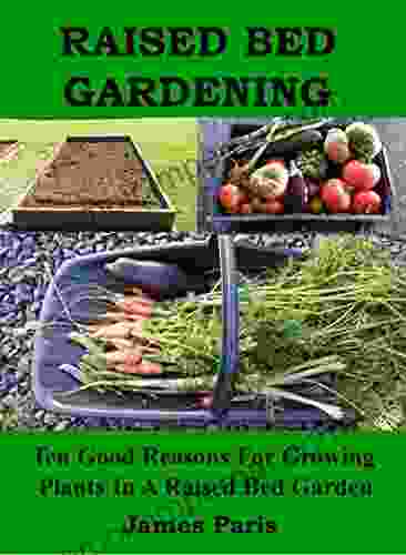 Raised Bed Gardening Ten Good Reasons For Growing Vegetables In A Raised Bed Garden (No Dig Gardening Techniques)