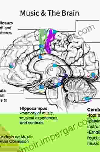 Rhythm Music And The Brain: Scientific Foundations And Clinical Applications (Studies On New Music Research 7)