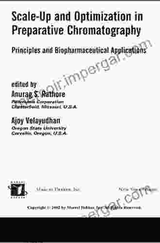 Scale Up And Optimization In Preparative Chromatography: Principles And Biopharmaceutical Applications (Chromatographic Science)