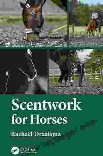 Scentwork For Horses