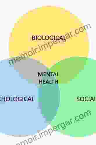 Schizotypy: New Dimensions (Advances In Mental Health Research)