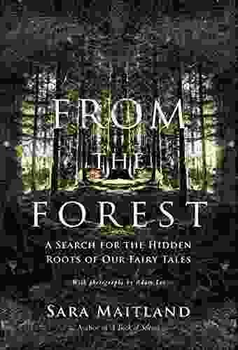 From The Forest: A Search For The Hidden Roots Of Our Fairytales