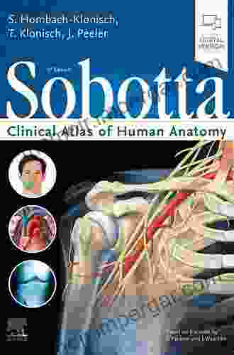 Sobotta Clinical Atlas Of Human Anatomy One Volume English