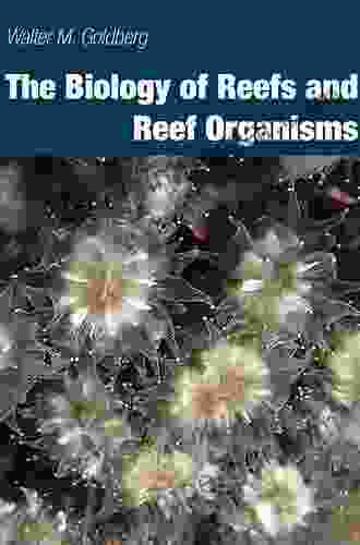 The Biology Of Reefs And Reef Organisms