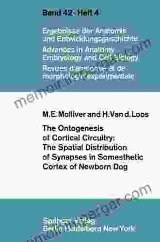 The Ontogenesis Of Cortical Circuitry: The Spatial Distribution Of Synapses In Somesthetic Cortex Of Newborn Dog (Advances In Anatomy Embryology And Cell Biology)