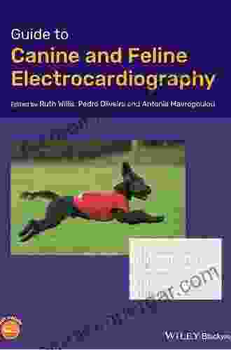 Guide To Canine And Feline Electrocardiography