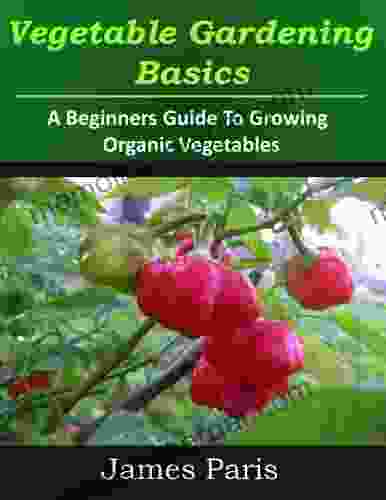 Vegetable Gardening Basics: A Beginners Guide To Growing Organic Vegetables Including Top Ten Easy Veg To Grow