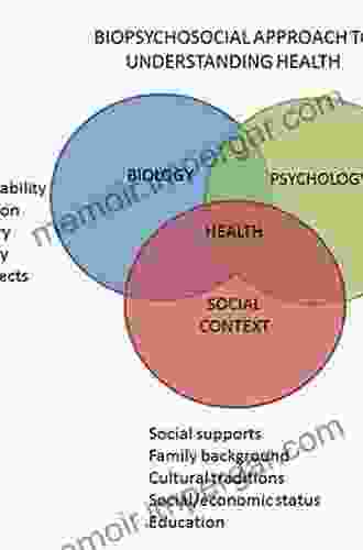 Informed And Healthy: Theoretical And Applied Perspectives On The Value Of Information To Health Care