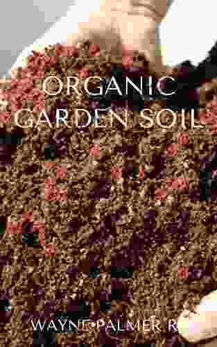 ORGANIC GARDEN SOIL : The Essential Gardener S Guide To Organic Soil Food Web