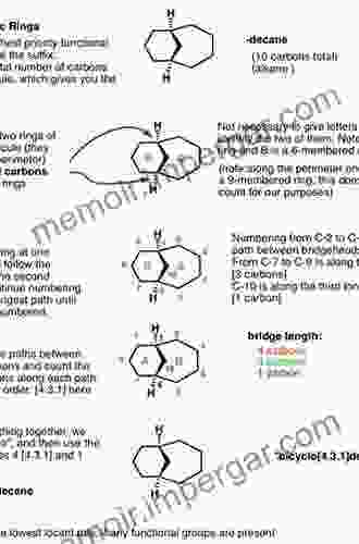 The Bridge To Organic Chemistry: Concepts And Nomenclature