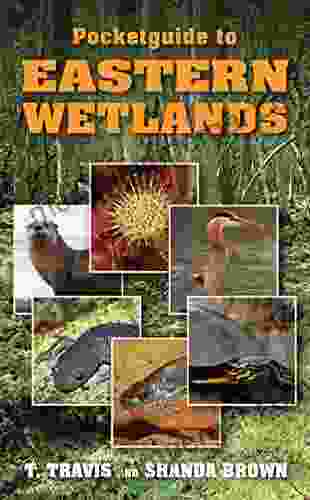 Pocketguide To Eastern Wetlands T Travis