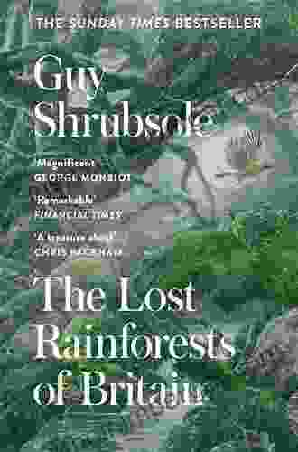 The Lost Rainforests Of Britain